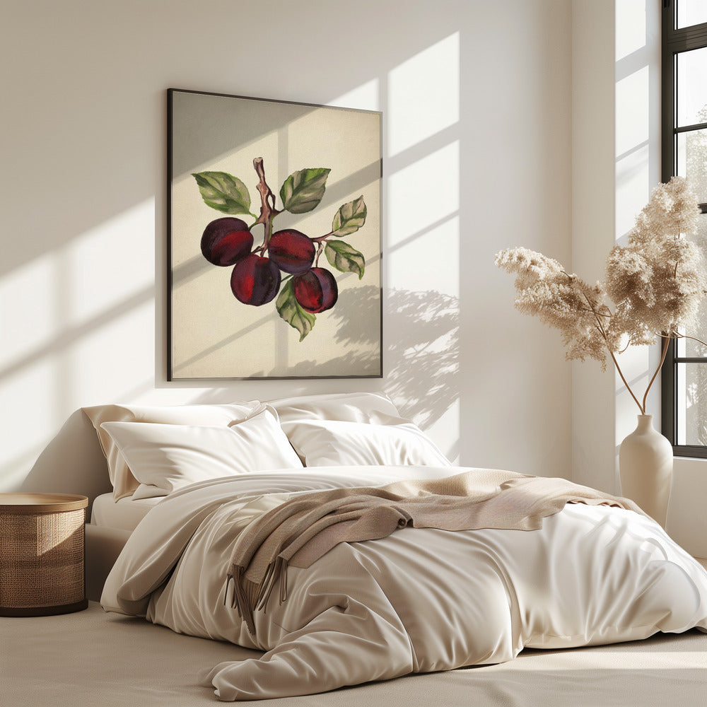 Vintage fruit collection | Poster