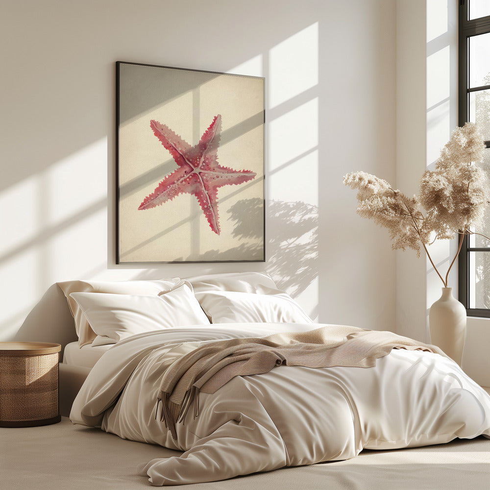 Vintage starfish painting | Poster