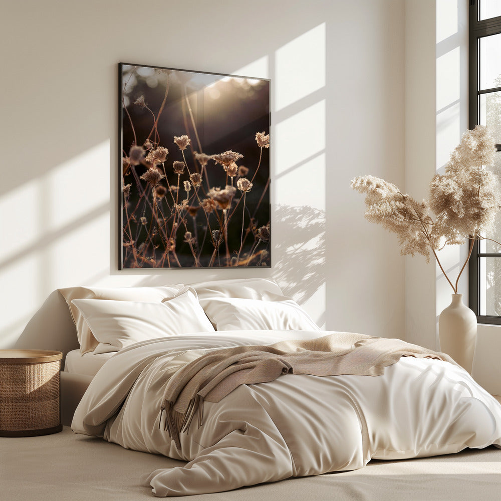 Warm Winter Light 2 | Poster