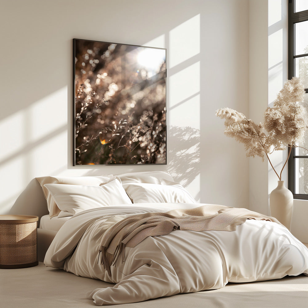 Warm Winter Light 6 | Poster