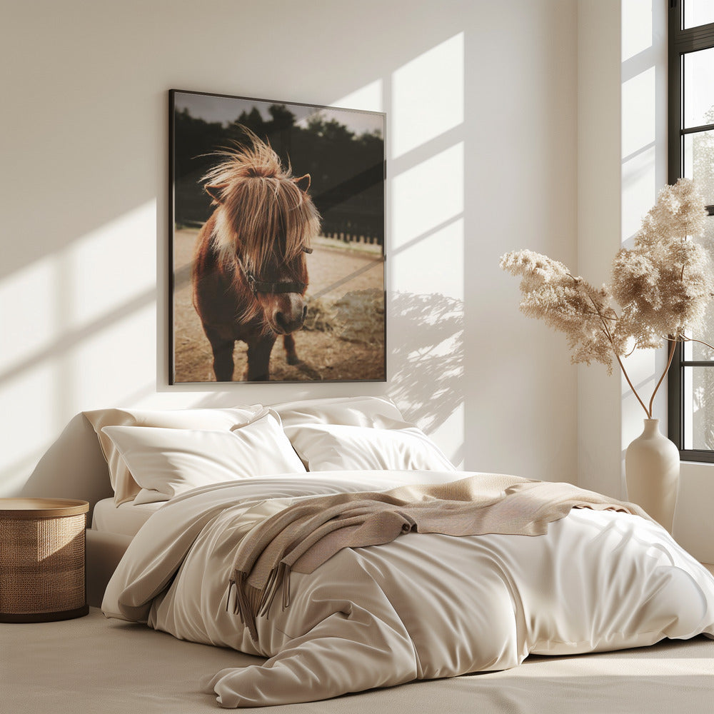 Pony with a Shaggy Mane | Poster