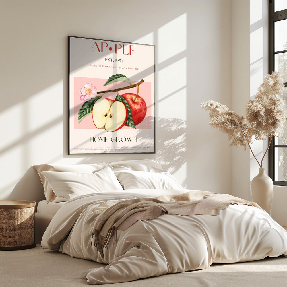 Harvested Apples | Poster