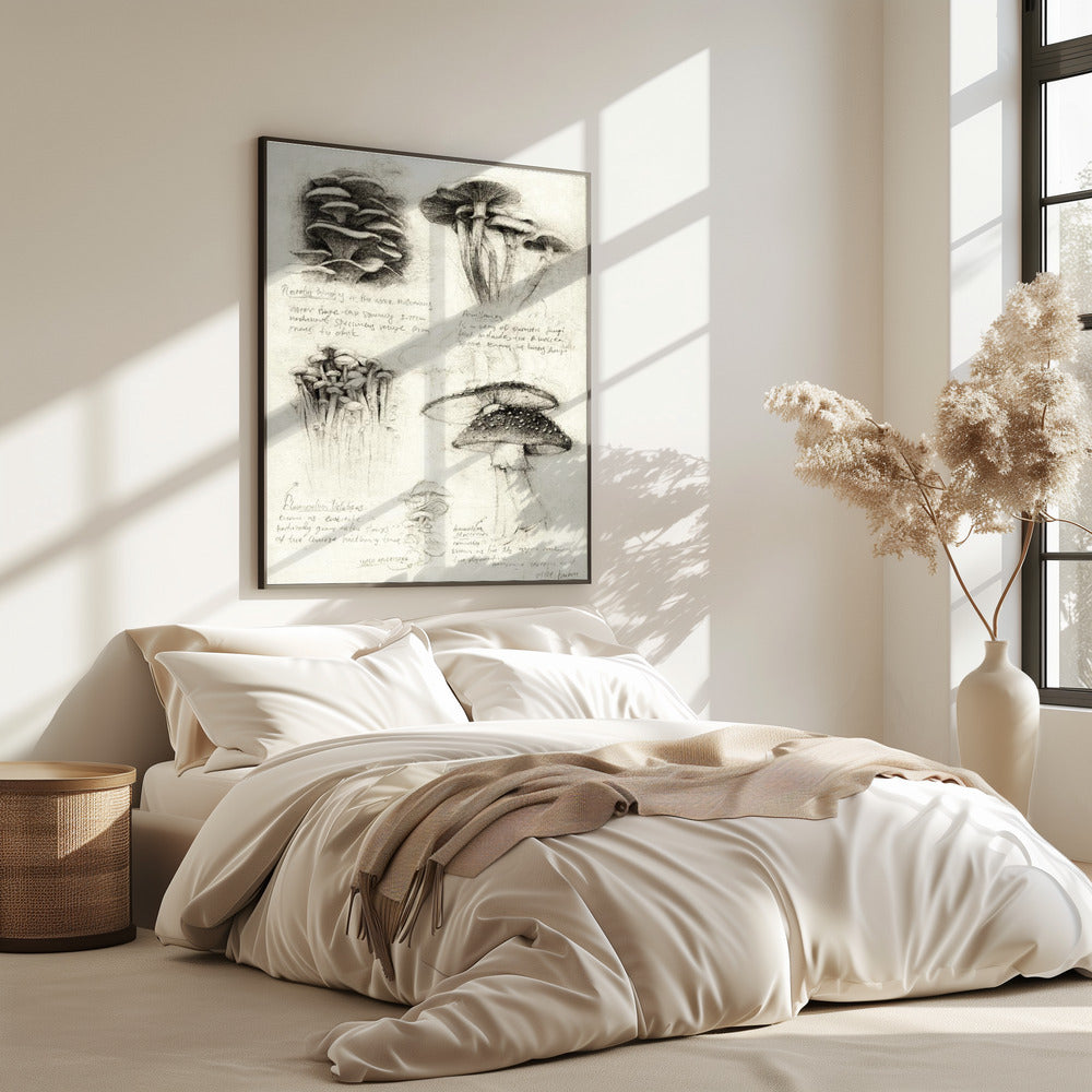 Various Botanical Mushrooms | Poster