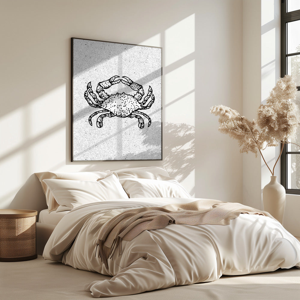 Black And White Crab | Poster
