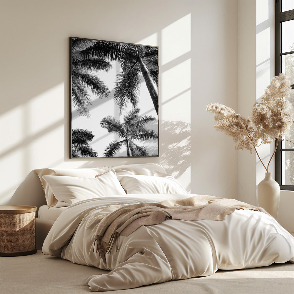 Black And White Palm Tree | Poster