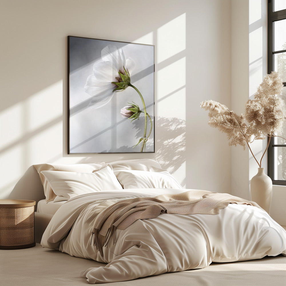 Heavenly Cosmos | Poster