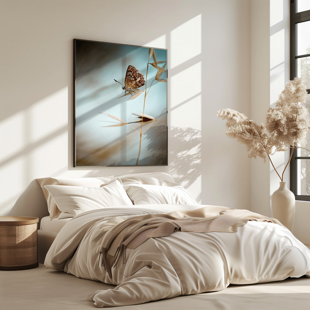 Dream in blue | Poster