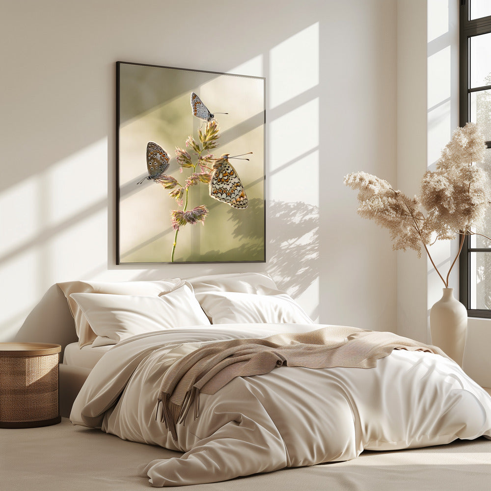 A kind of melting pot | Poster