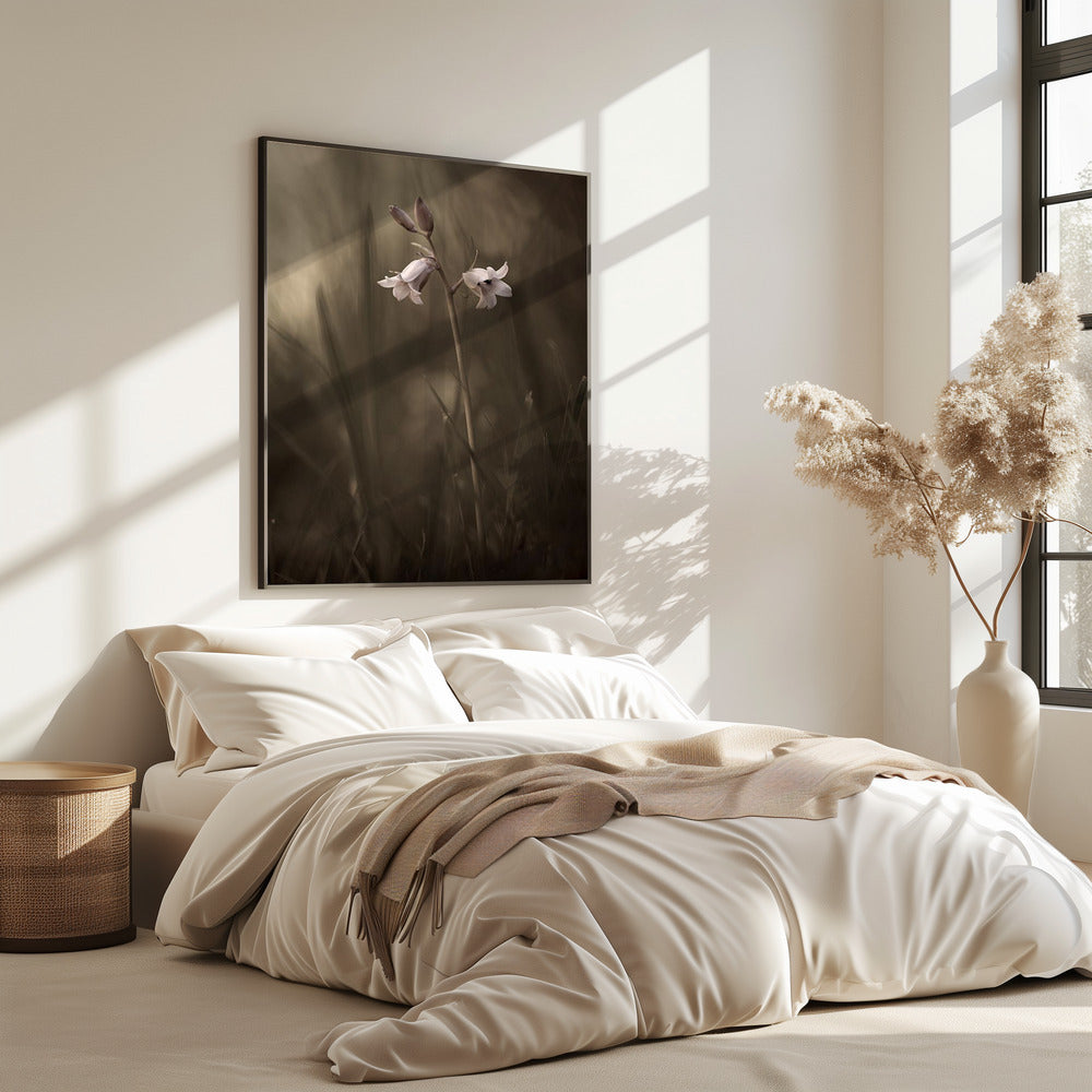 A small flower on the ground | Poster