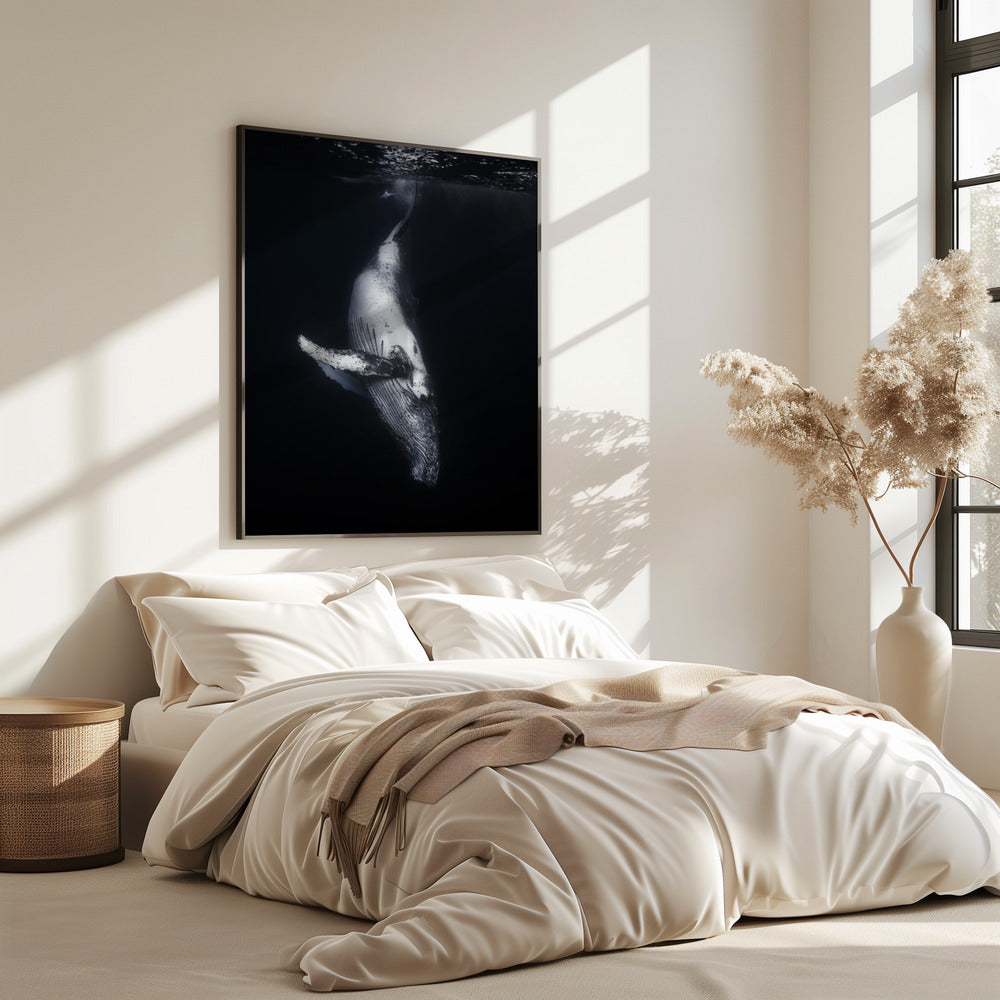 Black Whale | Poster