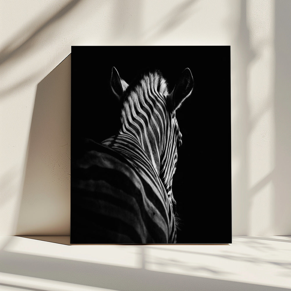 Stepping Down #6 | Canvas