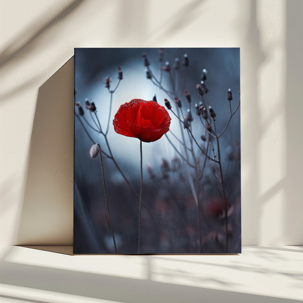 Flower not by kenzo. By me | Canvas