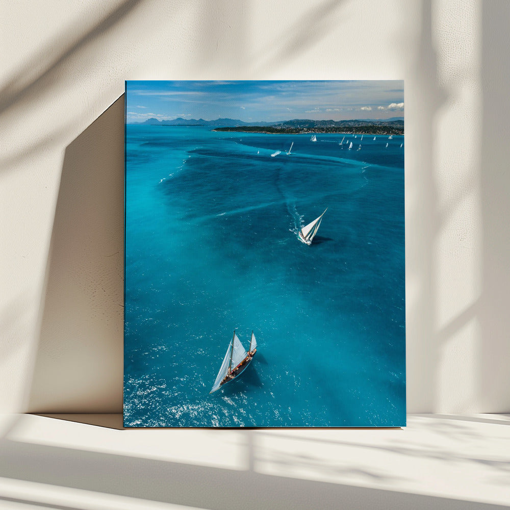 Above the race | Canvas