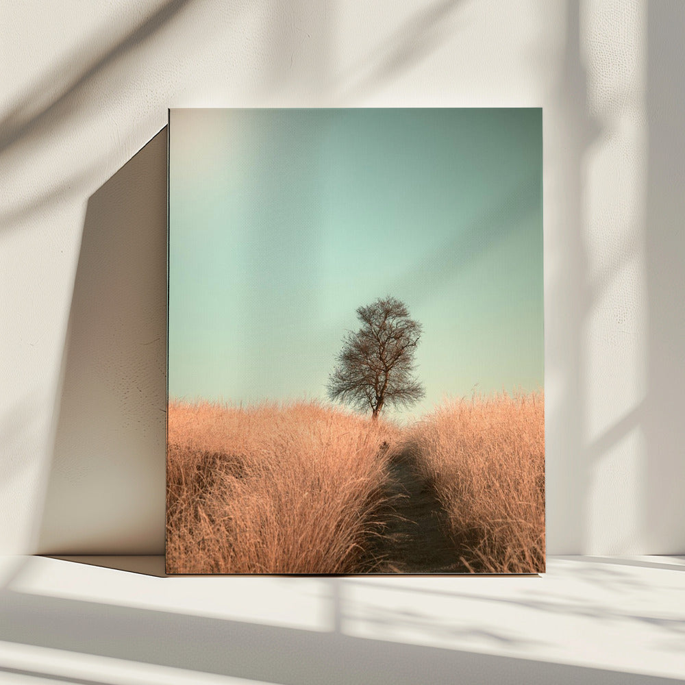 Grass and Path | Canvas