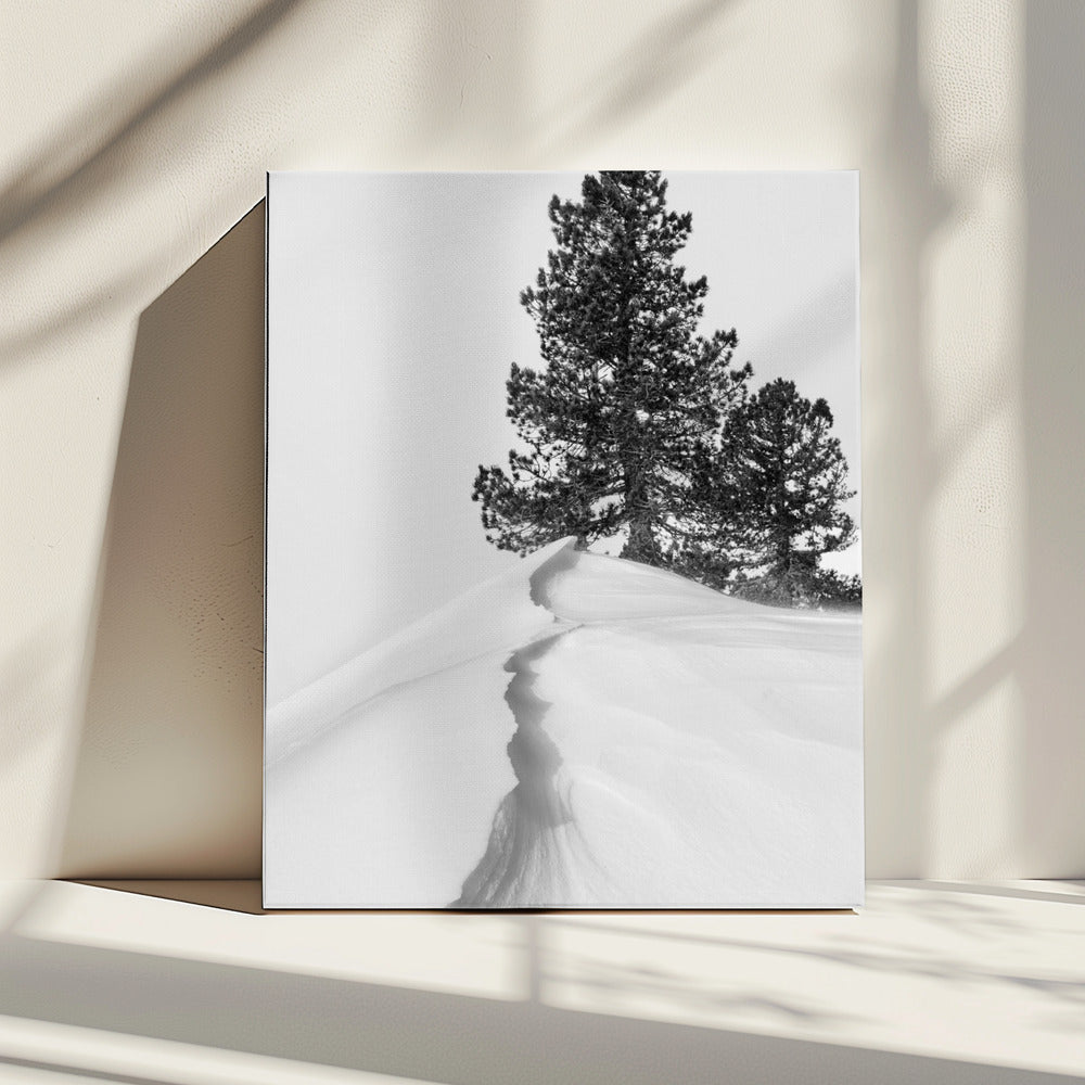 About the snow and forms | Canvas