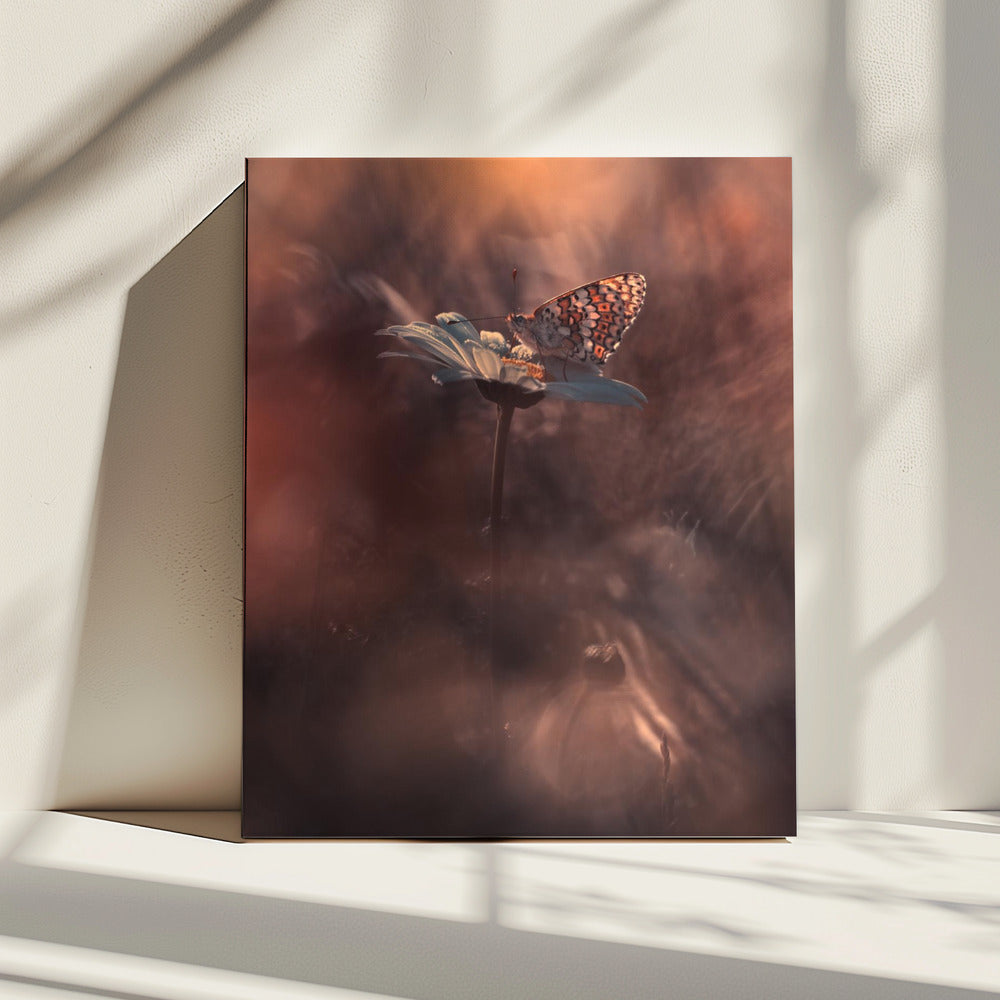 Pyrotechnics | Canvas