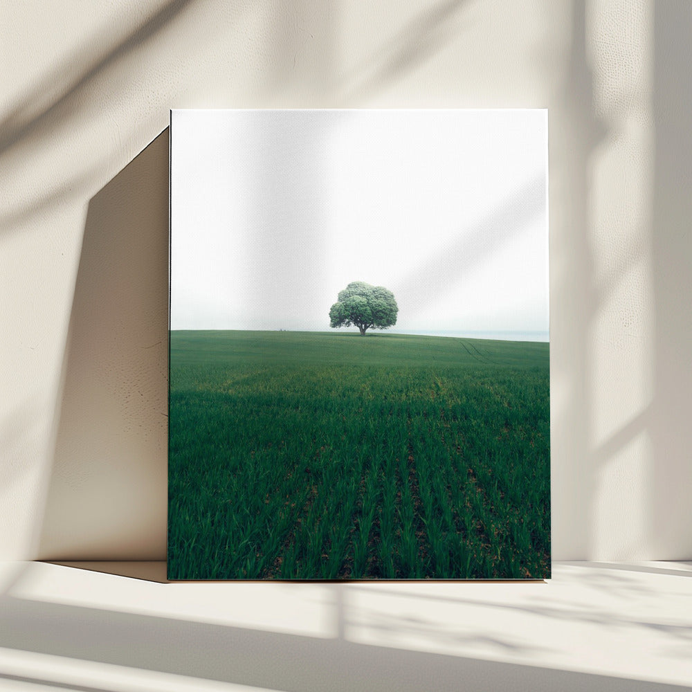 The lonely oak tree | Canvas