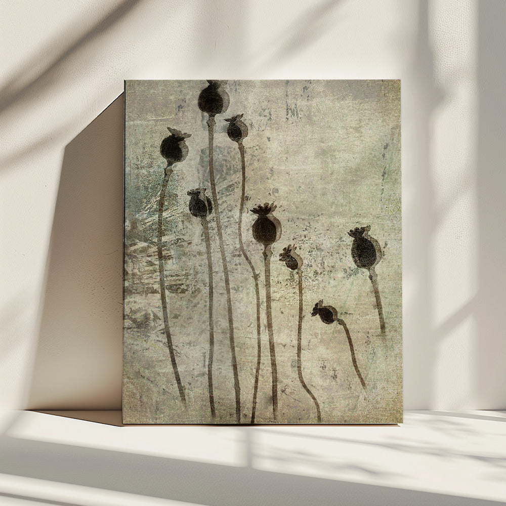 Poppy seedlings | Canvas