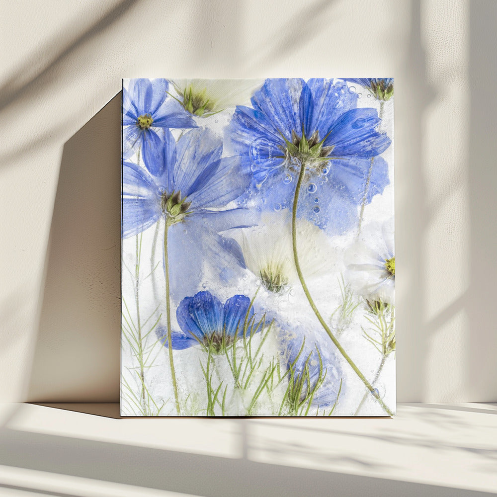 Cosmos blue | Canvas