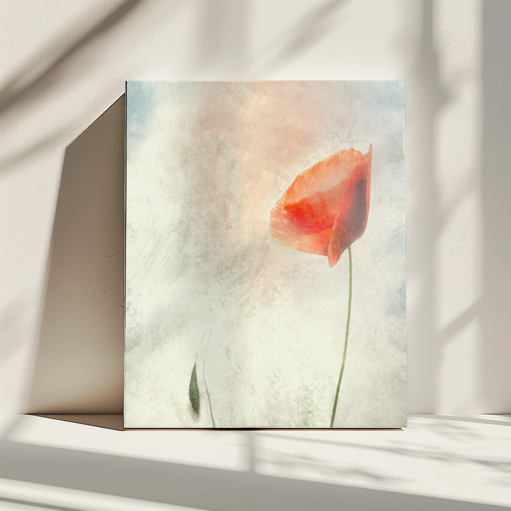 We should not sleep... | Canvas