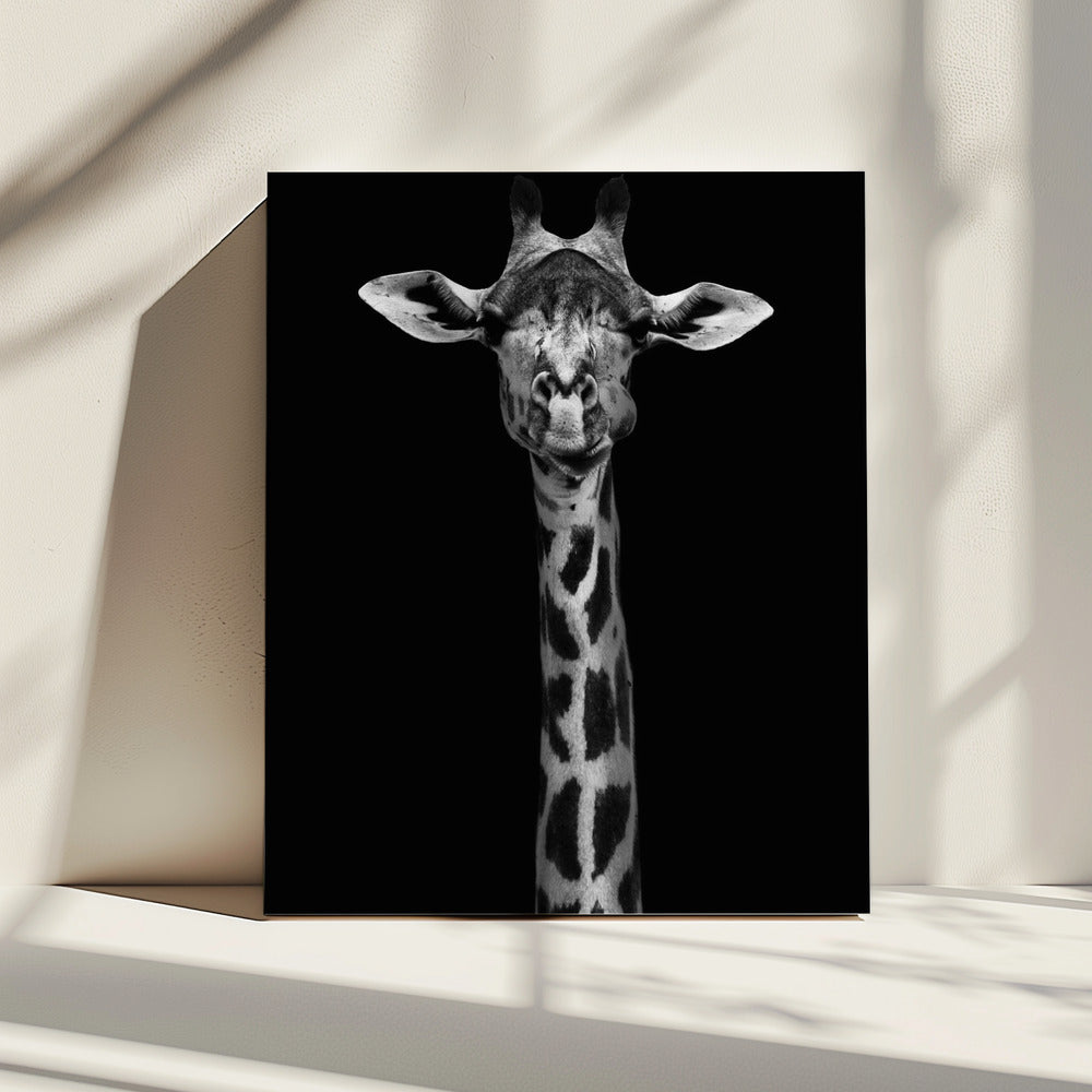 Giraffe Portrait | Canvas