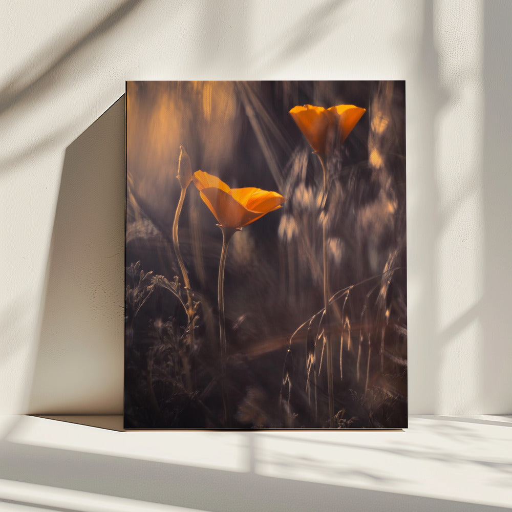 From The Enchanted Secret Garden | Canvas