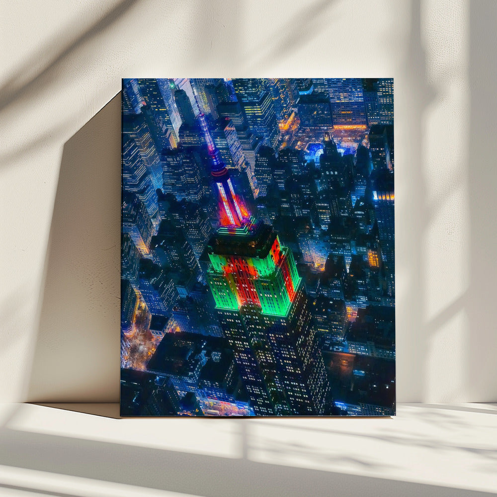 Flying NYC | Canvas