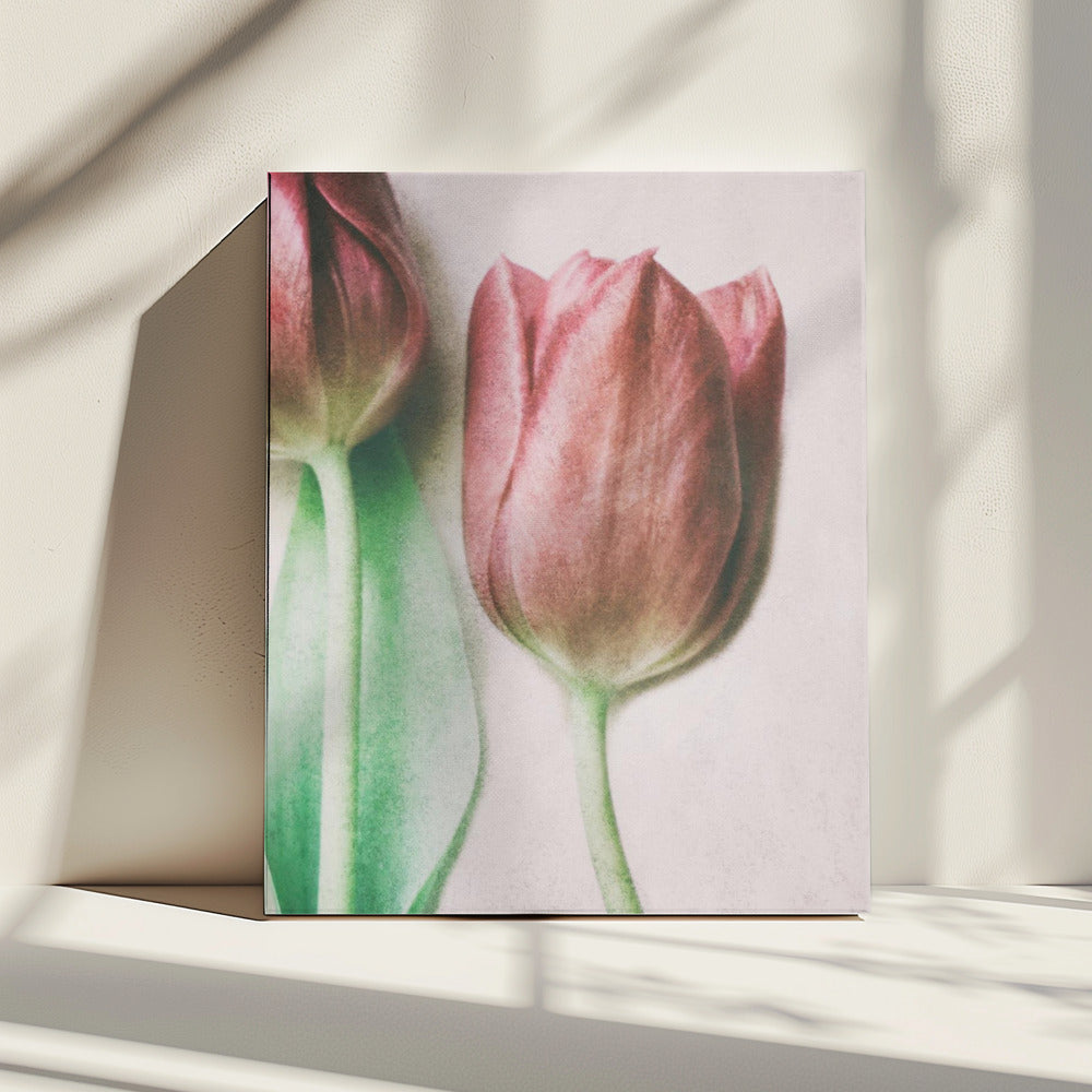 The Spring Lovers | Canvas