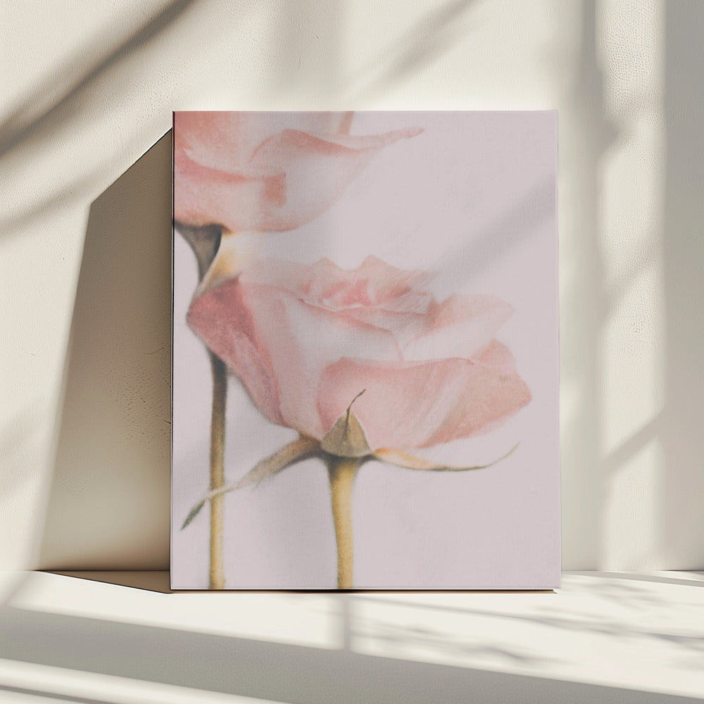 Two Roses | Canvas