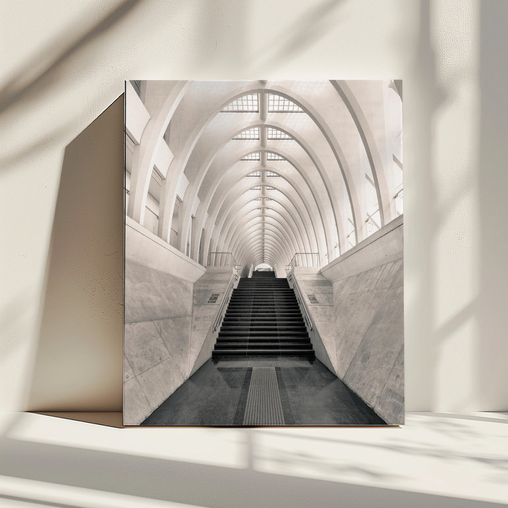 Inside Calatrava | Canvas