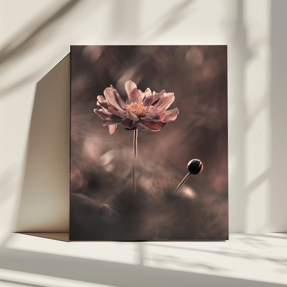 Un prÃ©sent et un futur rÃ©volus. Un passÃ© prÃ©sent | Canvas