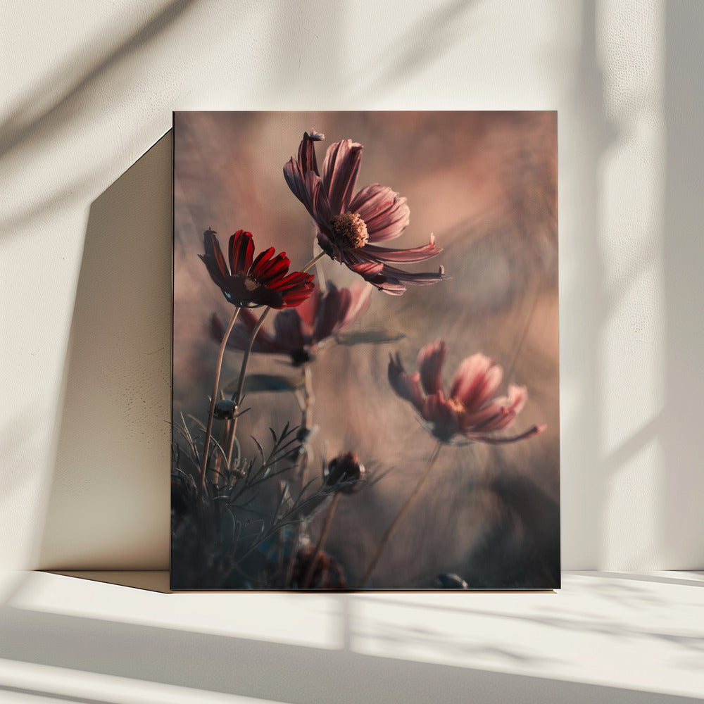 The Funky Family | Canvas