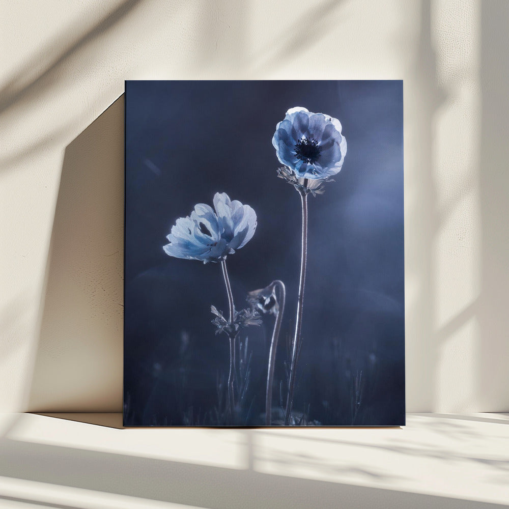 Meanwhile, oustide walls | Canvas