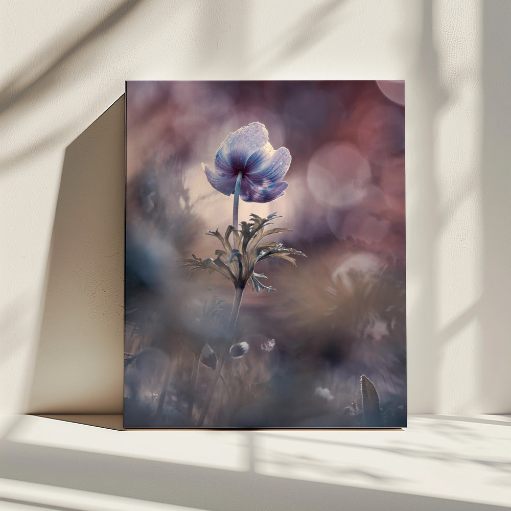 A brighter future | Canvas