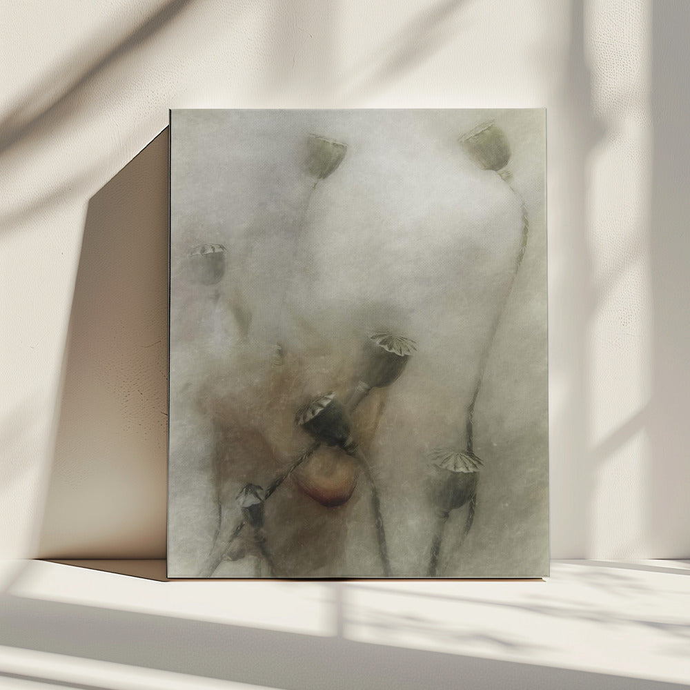 hopeful future | Canvas