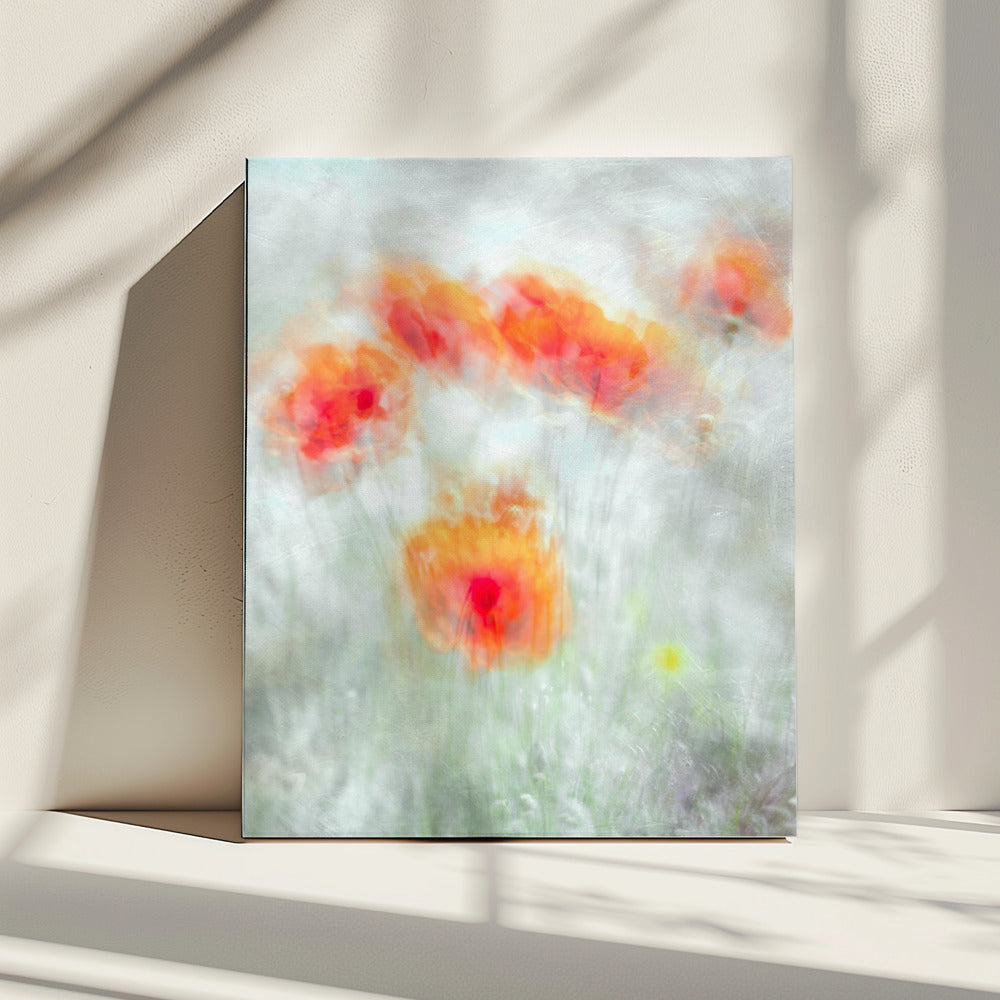 Red Corn Flowers | Canvas