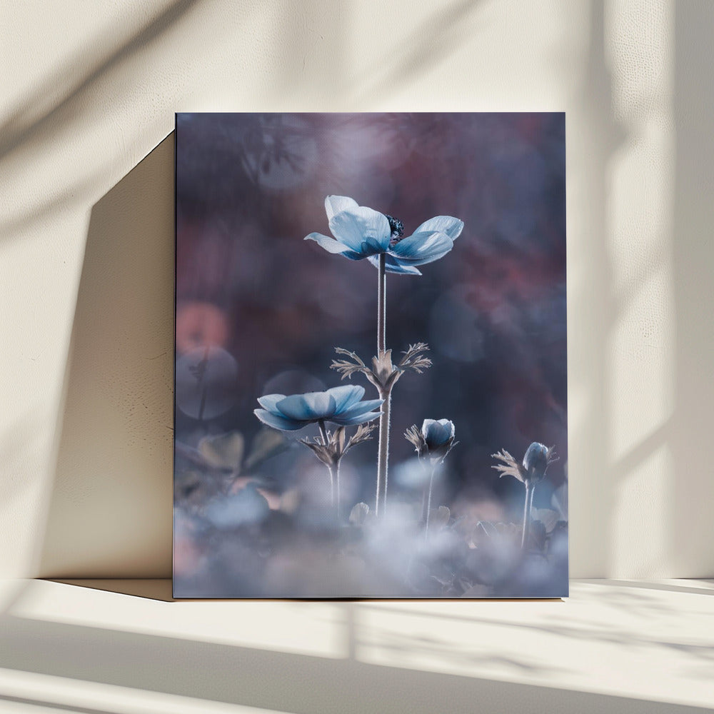 The beginning of a new era | Canvas