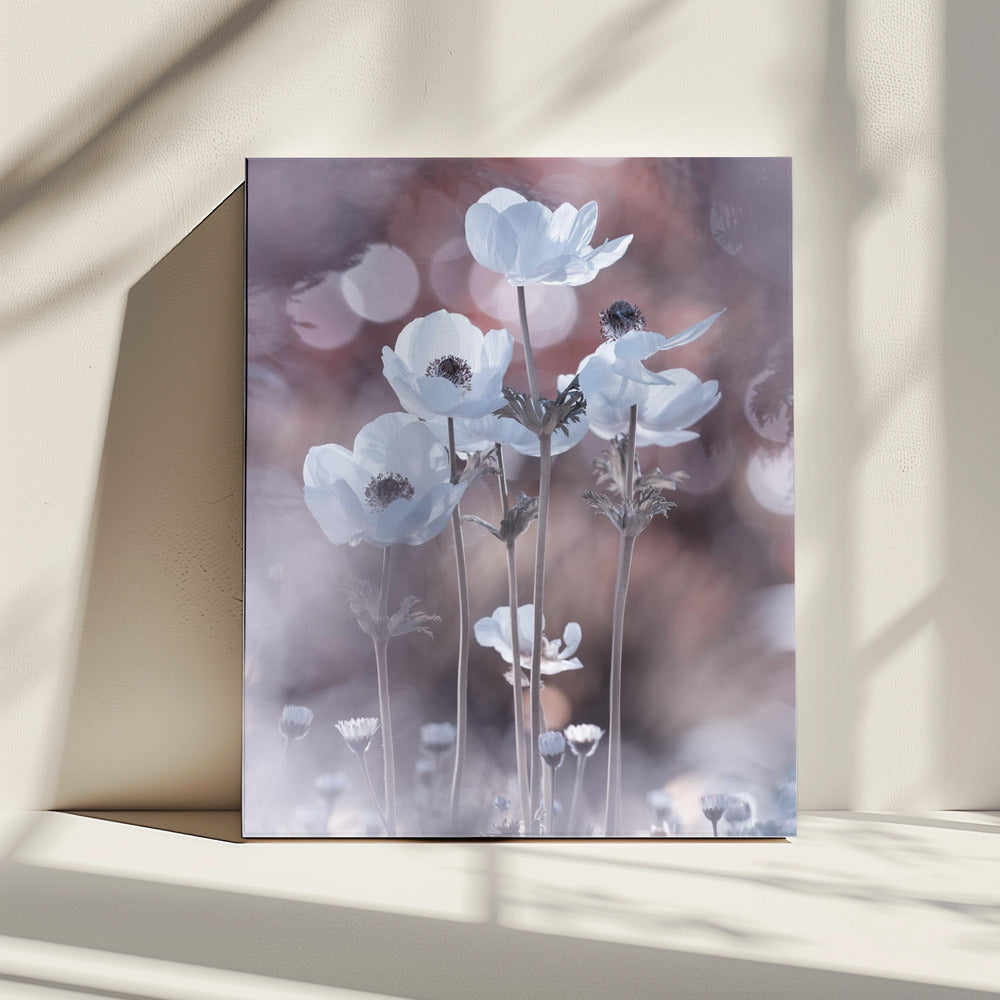 All the flowers of all the tomorrows are in the seeds of today | Canvas