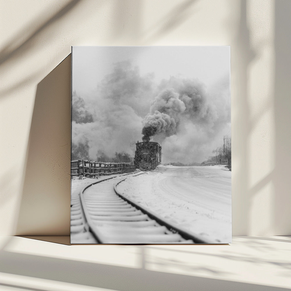 Mocanita Hutulca | Canvas