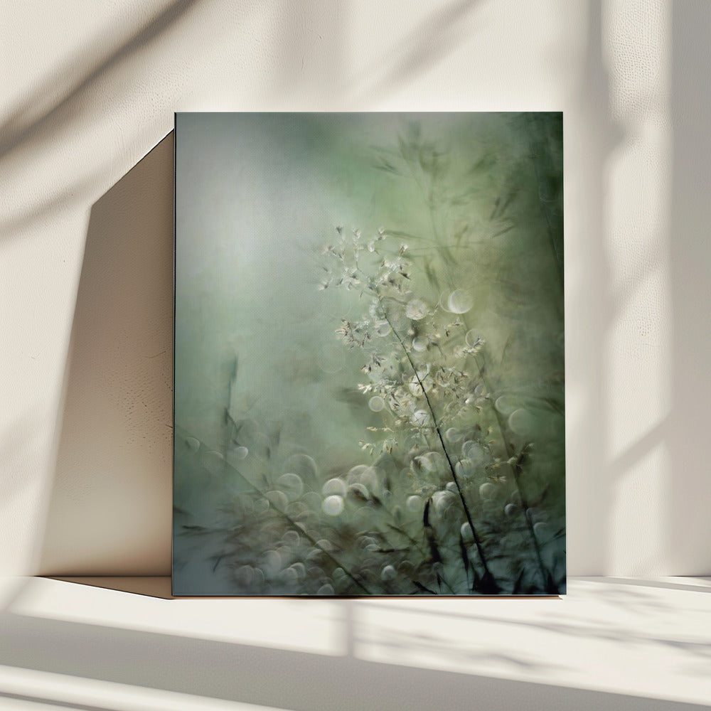 Grasses | Canvas