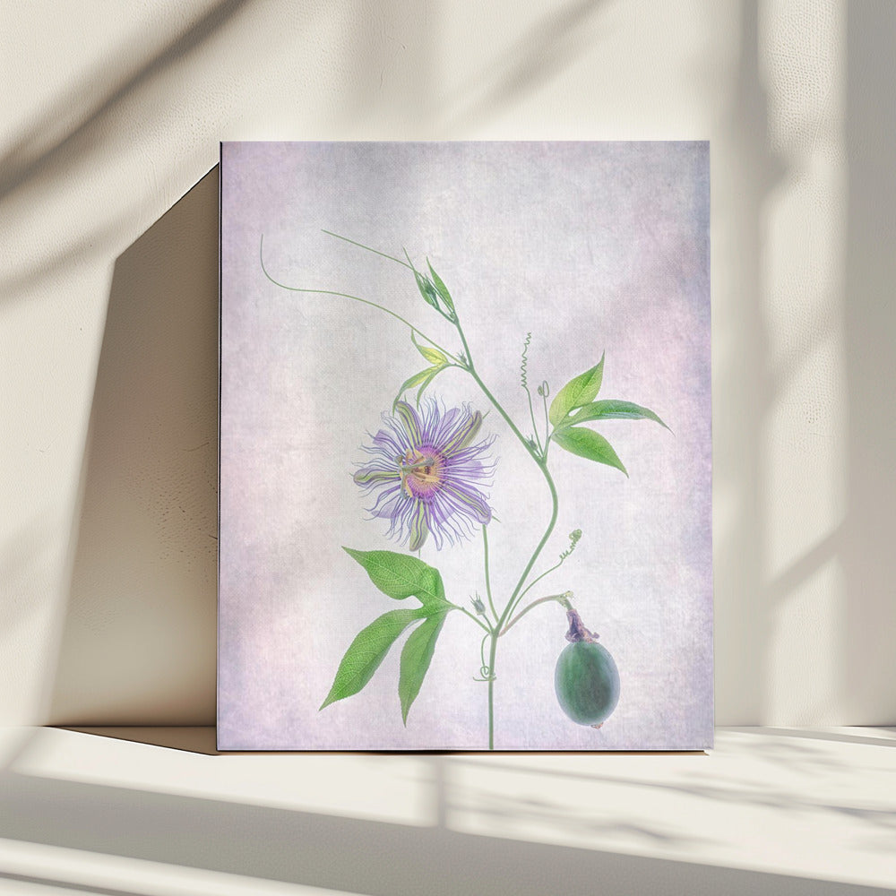 Passion Fruit | Canvas