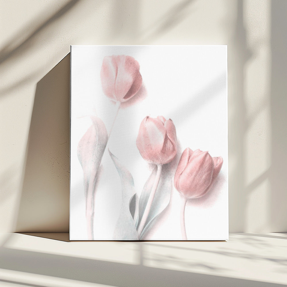 Sweet Pink | Canvas