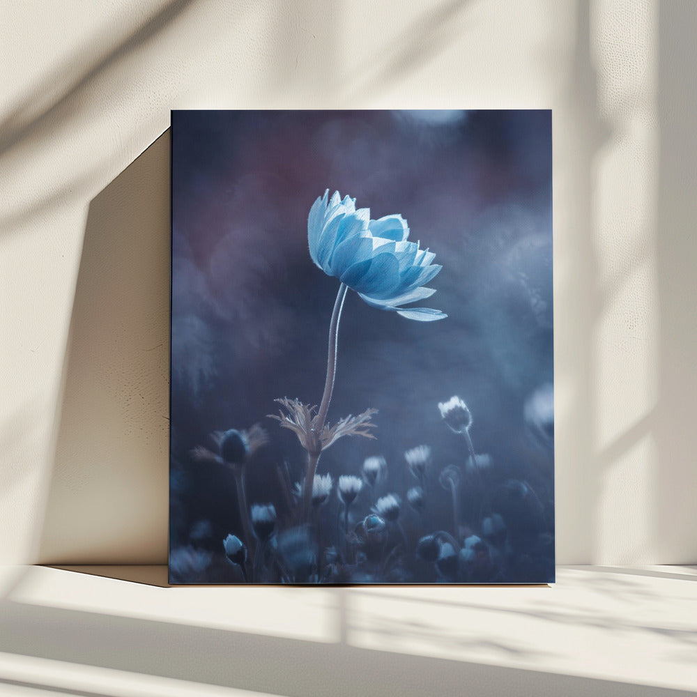 A short story of flower | Canvas
