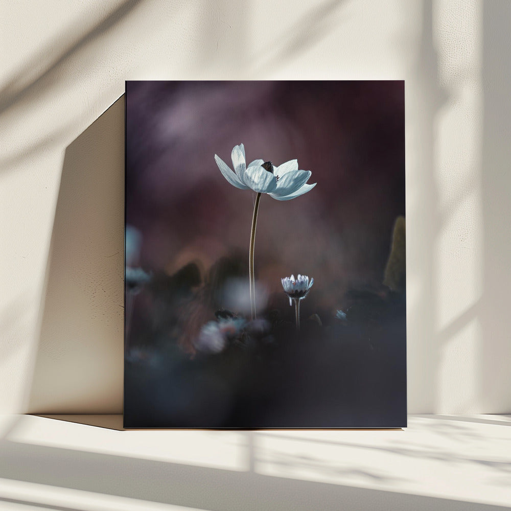 Elles, mes fleurs, Ã©moi | Canvas