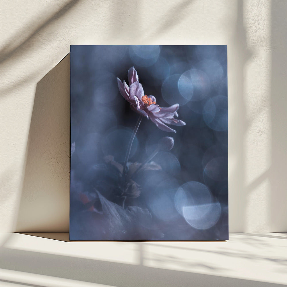 Dancing in the dark | Canvas