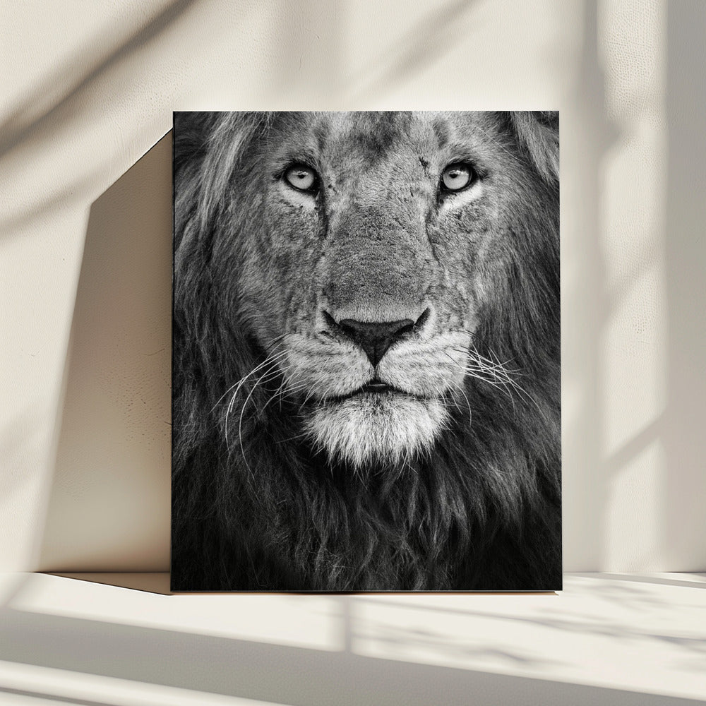 Royal portrait | Canvas