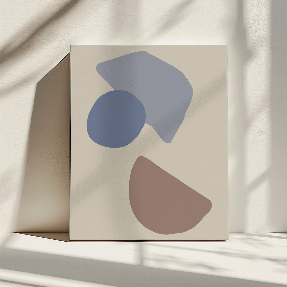 Organic Shapes 04 | Canvas