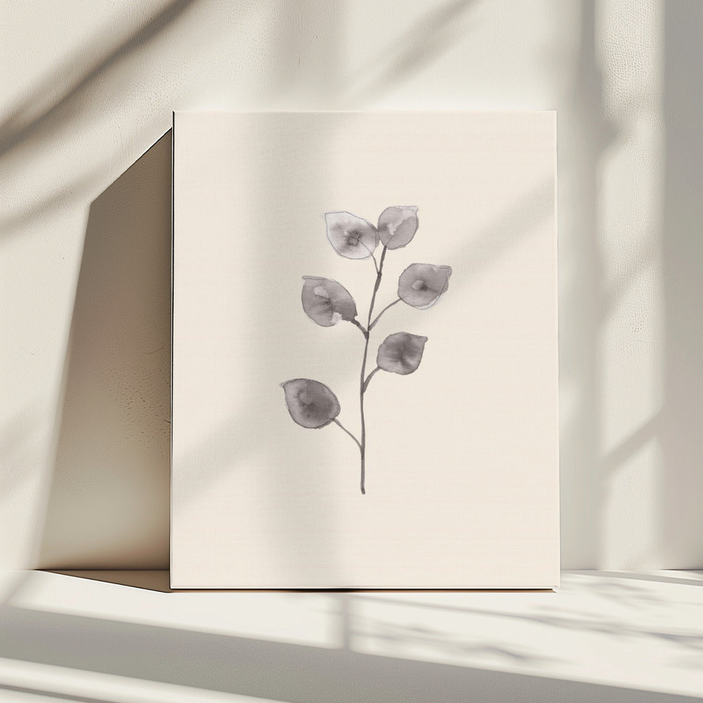 Eucalyptus Twig | Canvas