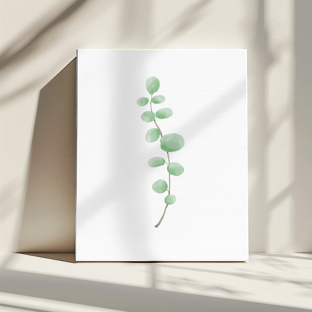 Branch | Canvas