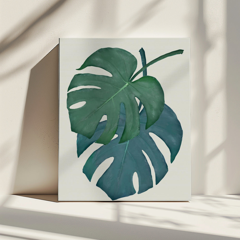 Monstera Aqua 06 | Canvas